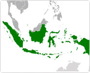 kalimantan-sulawesi
